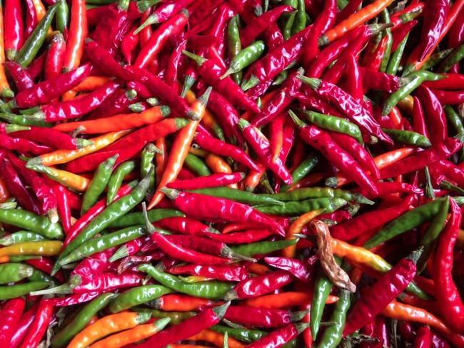 国産無農薬赤唐辛子