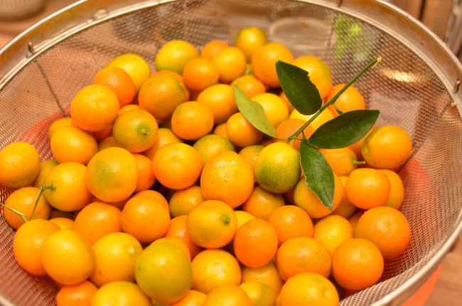 年末年始のお知らせ