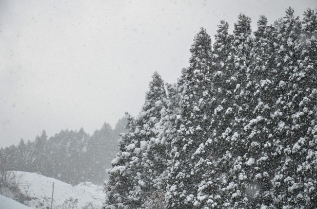 東峰村　雪