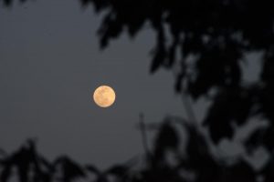 東峰村の月