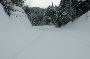 東峰村の雪 国道211号線