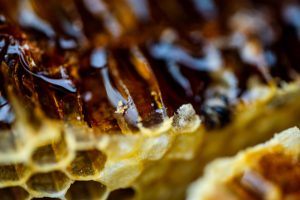 日本みつばちの巣蜜