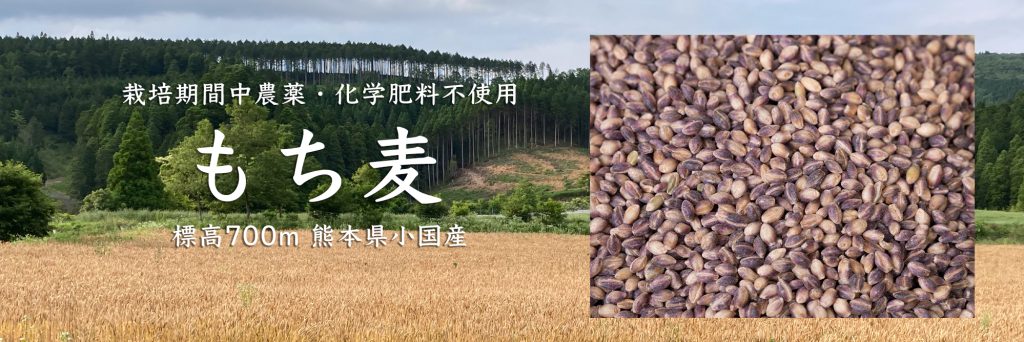 熊本県小国産無農薬もち麦