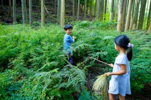 薪で焙煎したコーヒー豆のギフトはCSRに貢献