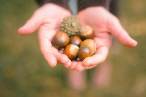 薪で焙煎したコーヒー豆のギフト