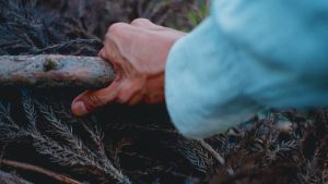 薪で焙煎したコーヒー豆のギフト