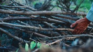 薪で焙煎したコーヒー豆のギフト