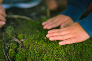 薪で焙煎したコーヒー豆のギフト