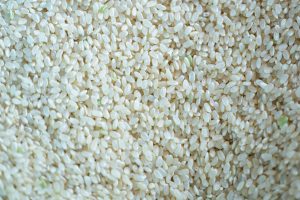 大分県日田産新米亀の尾酒米