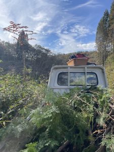 マリンメッセ福岡 フードスタイル九州2025　ブスデコレーション用の素材を山から調達